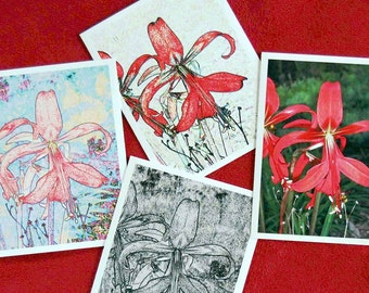 Floral Note Cards - Jacobean Lily Series, Blank Nature Note Cards, Photographic Art Flower Note Cards