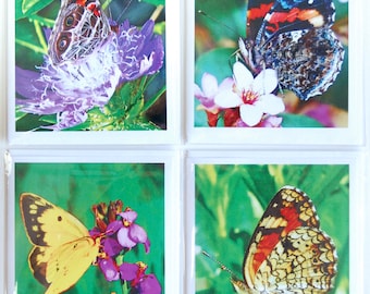 Butterfly Nature Note Cards, Painted Lady - Red Admiral - Clouded Sulphur - Phaon Crescent Butterflies, Photographic Art Blank Note Card Set