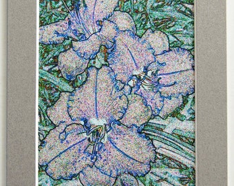 Daylily -  Altered Photo, Photographic Art Matted Flower Print, Choose Flower and Mat Color