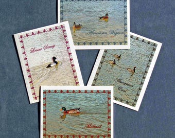 Blank Note Cards - Water Bird Series - Set of Four, Mallard Duck, American Wigeon Duck, American Coot, Lesser Scaup Duck, Nature Note Cards