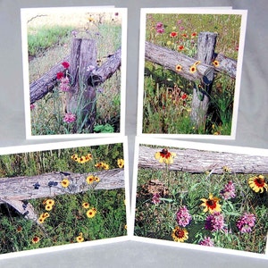 Blank Flower Note Cards - Late Spring Wildflower Series, Texas Wildflower Greeting Cards, Set of Four Nature Note Cards