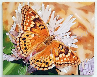 16 x 20 or 12 x 12 Gallery Wrapped Canvas Nature & Floral Prints - Flowers or Aspens or Butterfly or Dragonflies or Iguanas or Sea Dragon