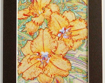 Daylily -  Altered Photo, Photographic Art Matted Flower Print, Choose Flower and Mat Color