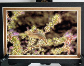 Hummingbird Photographic Art Print - Your Choice, Matted Altered Nature Photo, Bird Wall Artwork