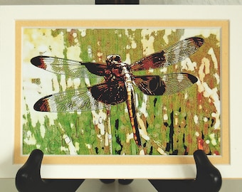 Dragonfly Matted Digital Print, Natural History Photographic Art Dragonfly Home Decor, Dragonfly Note Cards