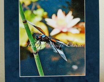 Dragonfly with Waterlily Matted Altered Photo Print, Dragonfly and Lily Pad Photographic Art, Pond Scene