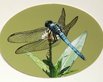 Nature Art Vinyl Sticker: Dragonfly, Cardinal, Butterfly, or Flowers