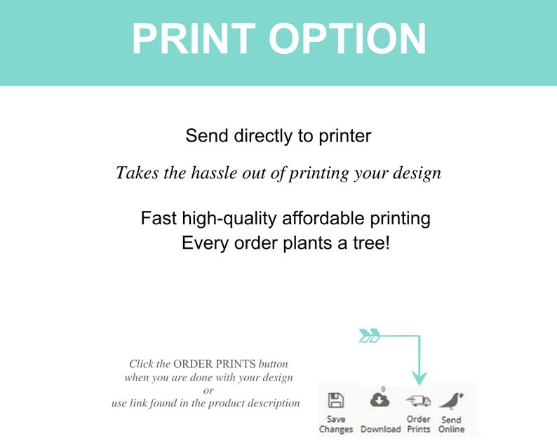 May include: A white graphic with the text "PRINT OPTION" in large teal letters. The text below describes printing services, including "Send directly to printer" and "Fast high-quality affordable printing." Icons for saving, downloading, ordering prints, and sending online are also shown.