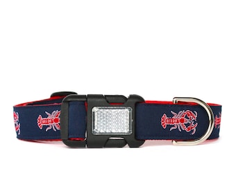 Lobster Dog Collar, Summertime Dog Collar