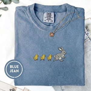 Easter Bunny Chicks Shirt, Cute Spring Animal Line Tee, Wholesome Ducklings Cartoon Sweatshirt, Minimal Comfort Colors Embroidery