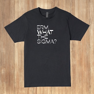 Erm, What The Sigma Shirt, Gen Z Slang, Funny Shirt, Perfect Gift for All Ages, What The Sigma Shirt, Skibidi Toilet Slang, Skibidi Rizz