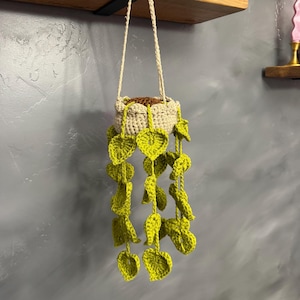 crochet plant plushie, string of hearts, variegated plant option