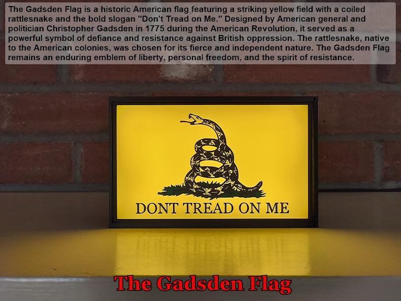 May include: A yellow Gadsden Flag with a coiled rattlesnake and the text "DONT TREAD ON ME". The flag is framed in black and is on a yellow surface.