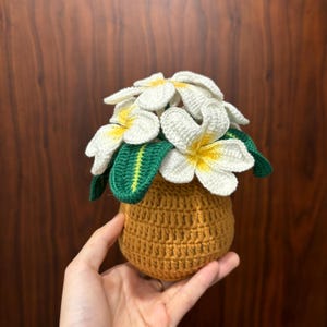 Plumeria Crochet in Pot, Crochet Flowers Plumeria Pot, Women's Car Accessories, Knitted Flower Gifts for Mom, Wife, Girlfriends