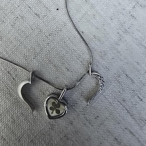 Real 4 Leaf Clover Choker Necklace: Simple Lucky Charm