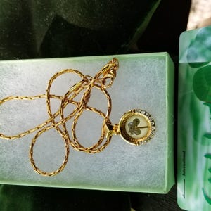 Peut inclure: Un collier dor&eacute; avec un pendentif contenant un tr&egrave;fle &agrave; quatre feuilles, pr&eacute;sent&eacute; dans une bo&icirc;te vert clair. La cha&icirc;ne du collier est finement travaill&eacute;e. Une carte verte et blanche avec du texte est visible.