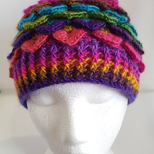 Adult Rainbow Fairy Hat, Adult Dragon scale hat, rainbow beanie hat, rainbow crocodile stitch hat, rainbow pride hat, nhs hat, festival