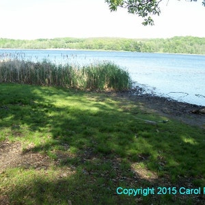 Peaceful Water of New York State -  Digital Photo