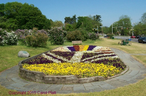 Highland Park Pansy Bed In Rochester New York Digital Photo Etsy