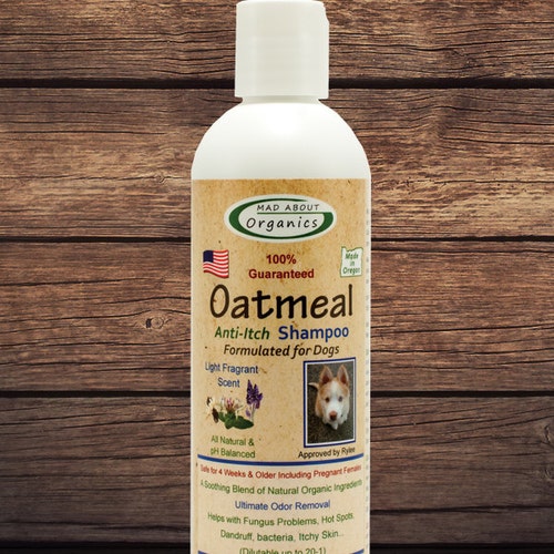 Organic Dog Oatmeal Shampoo 8oz Best Oatmeal Shampoo on the Etsy