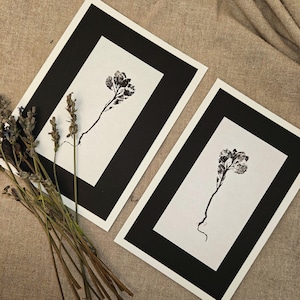 Original Botanical Monoprint  Nature monotype Modern Monochrome Botanical Wall Art. Black ink on white paper