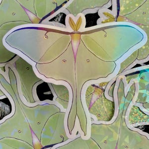 Luna Moth Holographic Sticker