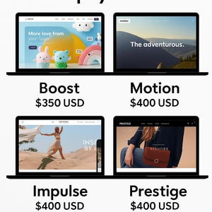 Configuración de tienda Shopify premium: incluye 4 temas pagos + guía Configuración de tienda de comercio electrónico, guía de comercio electrónico, obtenga el tema e instale sus productos