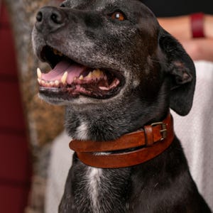 Handmade Leather Dog Collar, Personalized Leather Dog Collar, Leather Dog Collar, Engraved Dog Collar, Genuine Leather Dog Collar