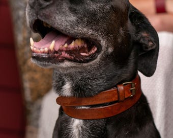 Handmade Leather Dog Collar, Personalized Leather Dog Collar, Leather Dog Collar, Engraved Dog Collar, Genuine Leather Dog Collar