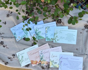 Information cards for the Home & Family Essentials Kit – Overview of essential oils | Customer information | Material for dōTERRA consultations