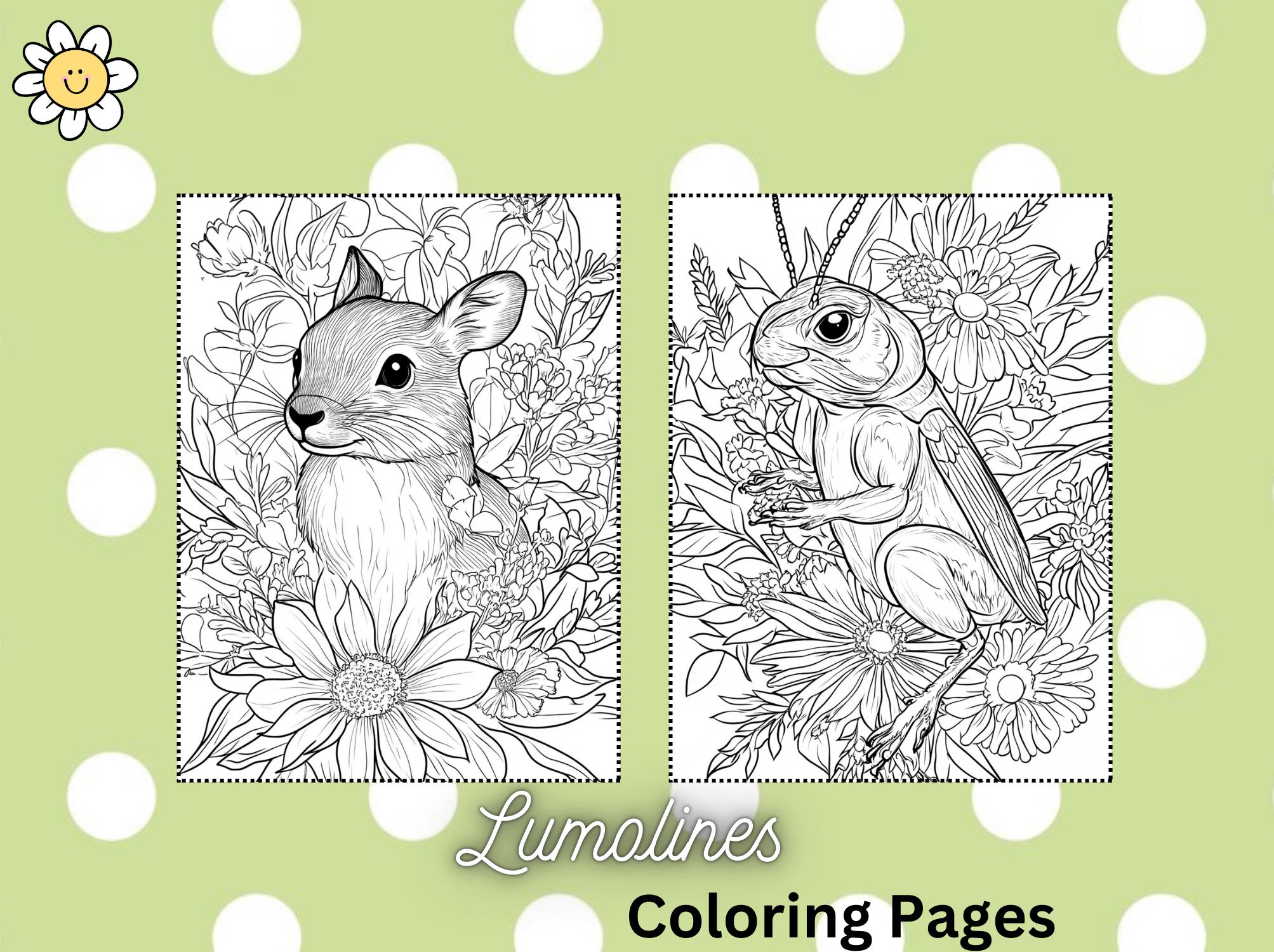 Tiere der Berge, Bergtiere Ausmalbilder, Wildtiere Malbuch, Tiere