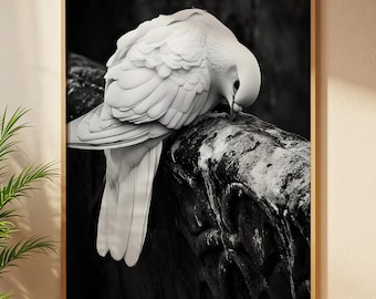 White Dove Photography Print: Black and White Bird Wall Art (Digital Download)