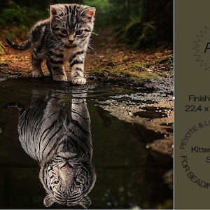Könnte beinhalten: Ein getigertes Kätzchen steht in der Nähe einer Pfütze, in der sich ein Tiger spiegelt. Das Bild spielt in einem Wald mit einem PDF-Logo und dem Text "Finished Size: 22,4 x 30,7 cm" und "Kittens Tiger Soul for Beading Tapestry".