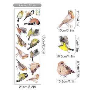 Pu&ograve; includere: Un foglio di 14 adesivi di uccelli ad acquerello, che presentano una variet&agrave; di uccelli in diverse pose e colori. Gli adesivi misurano circa 11 cm di altezza e 10,5 cm di larghezza. Il foglio misura 60 cm di altezza e 21 cm di larghezza.