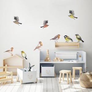 Pu&ograve; includere: Un muro bianco con una variet&agrave; di adesivi di uccelli colorati. Gli adesivi sono disposti in un motivo fantasioso, con alcuni uccelli che volano e altri appollaiati. Il muro &egrave; decorato con uno scaffale in legno, una scrivania bianca e un baule dei giocattoli bianco.
