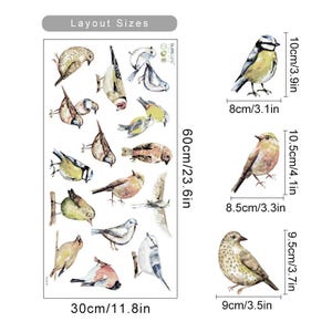 Pu&ograve; includere: Un foglio di adesivi di uccelli ad acquerello con 18 diversi disegni di uccelli. Il foglio misura 30 cm per 60 cm. Gli adesivi sono perfetti per aggiungere un tocco di natura alla tua decorazione domestica, ai tuoi lavoretti o ai tuoi progetti di scrapbooking.