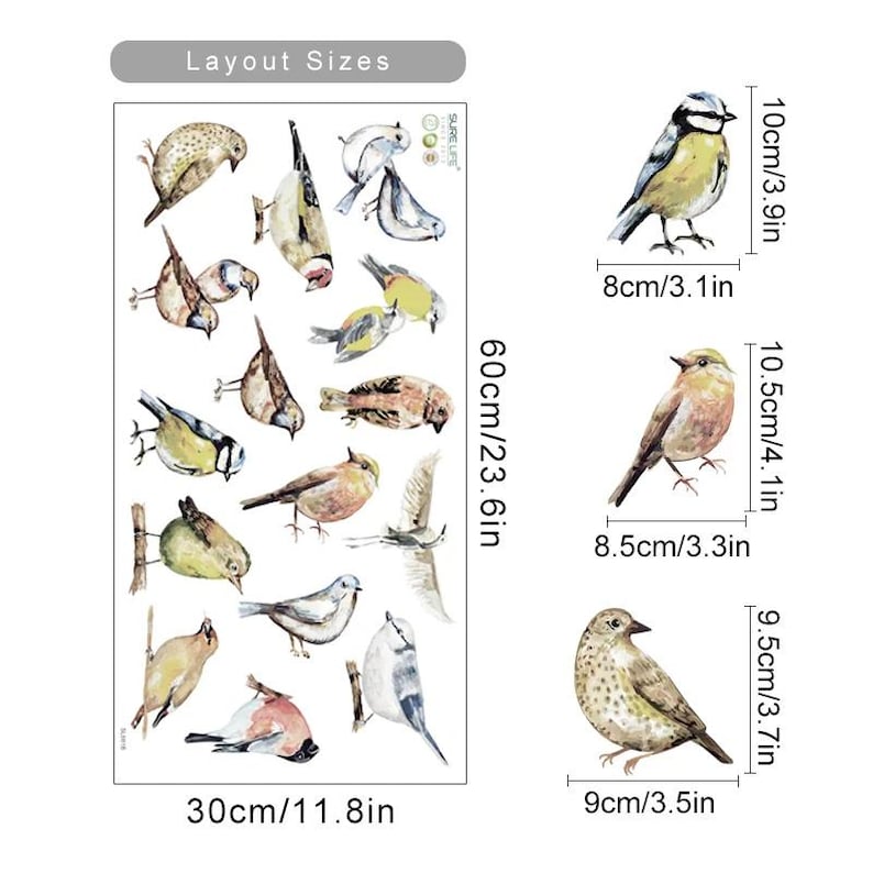 Pu&ograve; includere: Un foglio di adesivi di uccelli ad acquerello con 18 diversi disegni di uccelli. Il foglio misura 30 cm per 60 cm. Gli adesivi sono perfetti per aggiungere un tocco di natura alla tua decorazione domestica, ai tuoi lavoretti o ai tuoi progetti di scrapbooking.