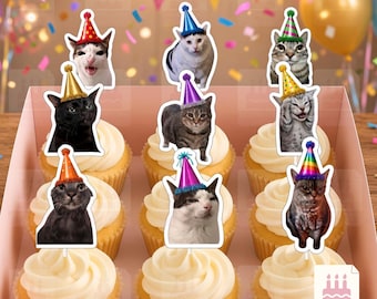 Funny Cat Meme Birthday Party Cake Cupcake Printable Topper Set