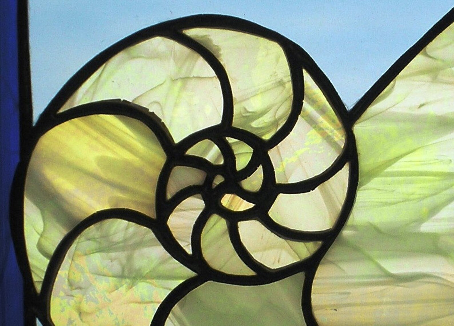 12 X 12 Stained Glass nautilus Shell - Etsy