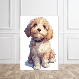 May include: A cute, fluffy, cream-colored puppy with brown markings sits looking up with a sweet expression. The puppy is wearing a black collar with a tag.