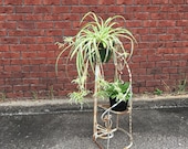 Wrought Iron Staircase Plant Stand, Chippy White Plant Holder, Shabby Plant Stand, French Country Metal Plant Stand, Wedding Decor