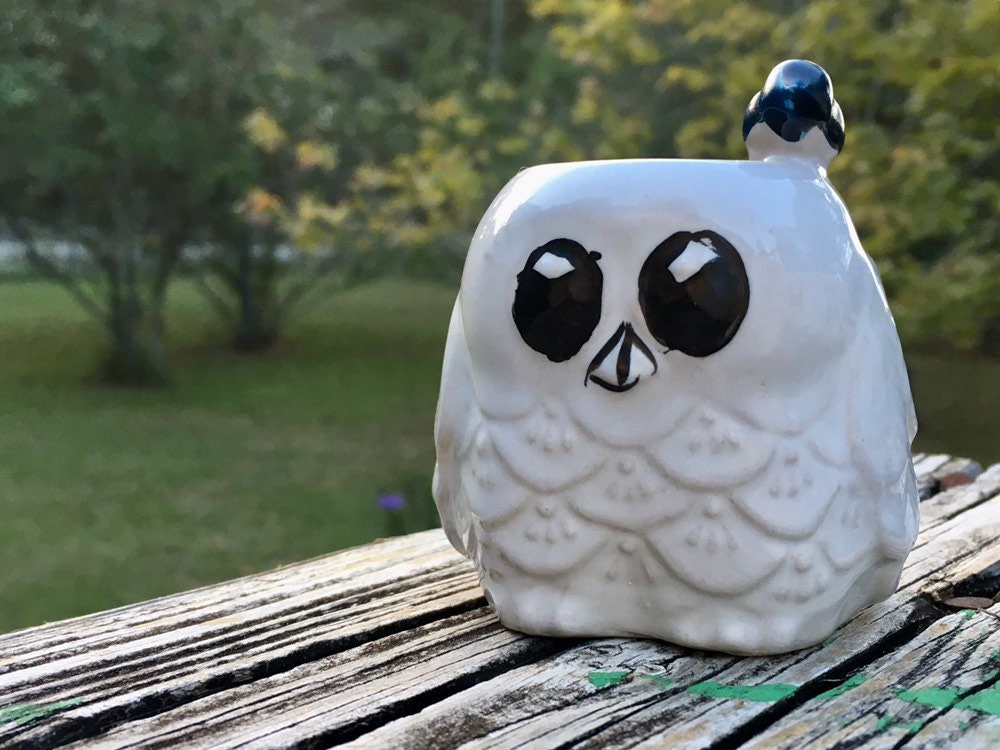 Owl Toothpick Holder, Enesco Korea, Owl Succulent Planter, Owl Air Plant Holder, Succulent Pot, Cute