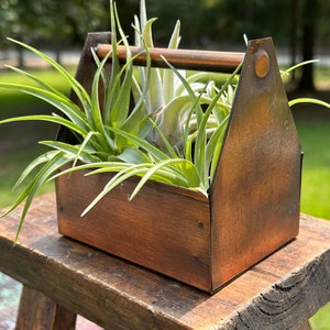 May include: A rustic, copper-toned metal toolbox filled with vibrant green air plants. The toolbox has a wooden handle and is placed on a weathered wooden stool, creating a charming display for home decor or gardening.