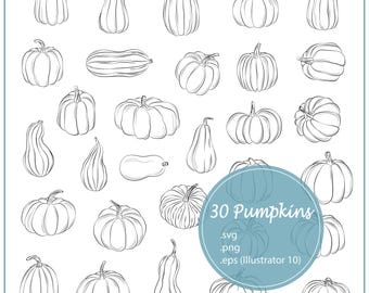 Hand Drawn Pumpkin Outline SVG Bundle, Autumn Thanksgiving Halloween Clip Art (Digital Download)