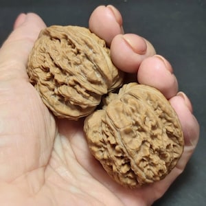 Walnut Hand Massage Ball – 4cm Diameter – Handmade Acupressure Roller – Relaxation Therapy Tool