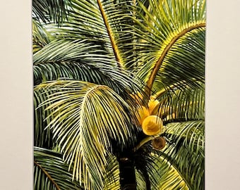 Coconut tree - matted and signed art print