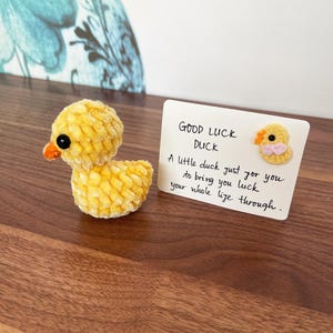 May include: A yellow crochet duck with black eyes and an orange beak. A card beside the duck reads "Good Luck Duck" and a message. The duck is a charming, whimsical item, perfect as a gift or keepsake.