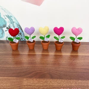 Cute Mini Heart Plant, Emotional Support Heart Plant, Crochet Heart Plant, Teracotta pots, Birthday Gift, Valentine’s day, Mother’s day Gift
