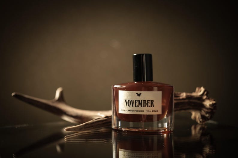November in the Temperate Deciduous Forest