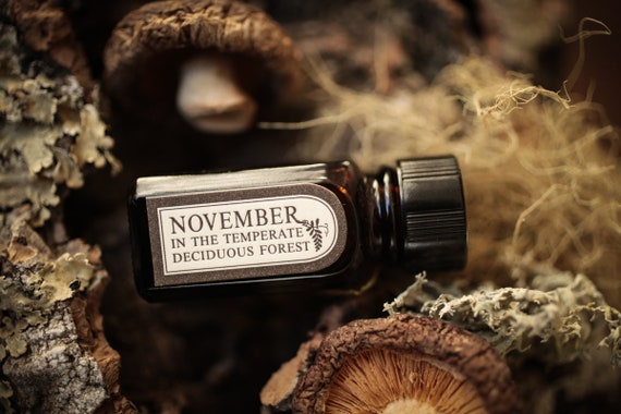 This fall, beautify your deck with the nourishing triple-oil blend